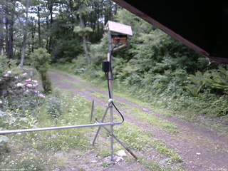 長野県菅平高原 ゆたか山荘 南側 2026/06/06 08:45