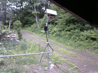 長野県菅平高原 ゆたか山荘 南側 2026/06/06 11:30