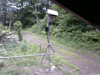 長野県菅平高原 ゆたか山荘 南側 2026/06/06 11:45