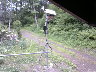 長野県菅平高原 ゆたか山荘 南側 2026/06/06 13:15