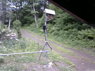 長野県菅平高原 ゆたか山荘 南側 2026/06/06 13:45