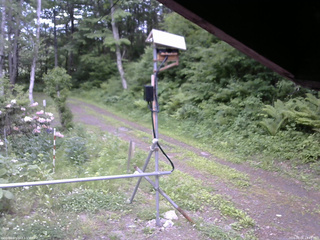 長野県菅平高原 ゆたか山荘 南側 2026/06/06 14:45