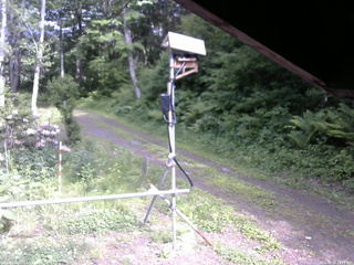 長野県菅平高原 ゆたか山荘 南側 2026/06/06 15:15