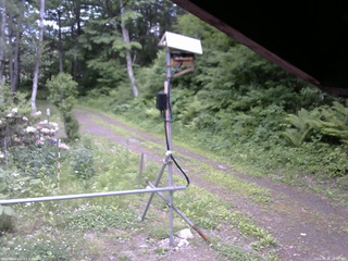 長野県菅平高原 ゆたか山荘 南側 2026/06/06 15:30