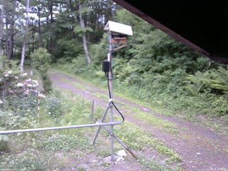 長野県菅平高原 ゆたか山荘 南側 2026/06/06 15:45