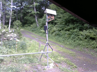 長野県菅平高原 ゆたか山荘 南側 2026/06/06 16:00