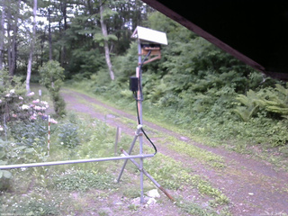 長野県菅平高原 ゆたか山荘 南側 2026/06/06 16:30