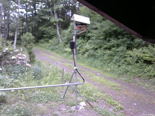 長野県菅平高原 ゆたか山荘 南側 2026/06/06 16:45