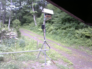 長野県菅平高原 ゆたか山荘 南側 2026/06/06 17:00