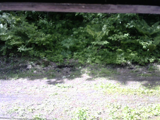 長野県菅平高原 ゆたか山荘 東側(坂下) 2026/06/06 08:15