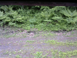 長野県菅平高原 ゆたか山荘 東側(坂下) 2026/06/06 10:15