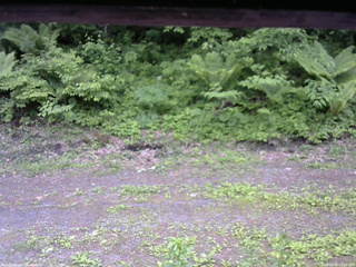 長野県菅平高原 ゆたか山荘 東側(坂下) 2026/06/06 12:00