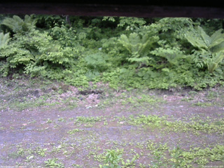 長野県菅平高原 ゆたか山荘 東側(坂下) 2026/06/06 12:30