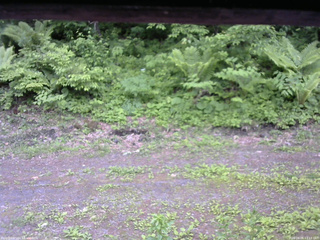 長野県菅平高原 ゆたか山荘 東側(坂下) 2026/06/06 13:15