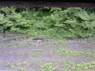 長野県菅平高原 ゆたか山荘 東側(坂下) 2026/06/06 14:00