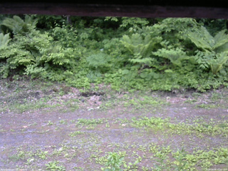長野県菅平高原 ゆたか山荘 東側(坂下) 2026/06/06 15:45
