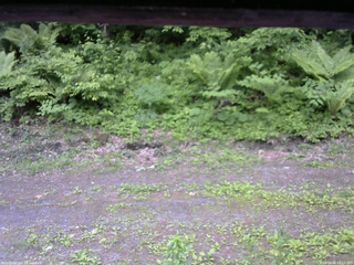 長野県菅平高原 ゆたか山荘 東側(坂下) 2026/06/06 16:15