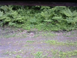 長野県菅平高原 ゆたか山荘 東側(坂下) 2026/06/06 16:45