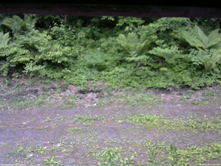 長野県菅平高原 ゆたか山荘 東側(坂下) 2026/06/06 17:30