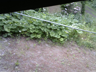 長野県菅平高原 ゆたか山荘 駐車場 2026/06/06 07:00