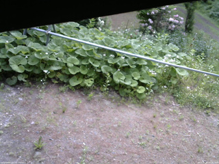 長野県菅平高原 ゆたか山荘 駐車場 2026/06/06 07:45