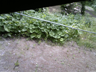 長野県菅平高原 ゆたか山荘 駐車場 2026/06/06 09:15