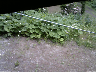 長野県菅平高原 ゆたか山荘 駐車場 2026/06/06 10:45