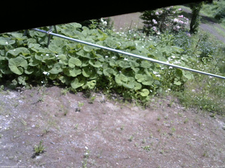 長野県菅平高原 ゆたか山荘 駐車場 2026/06/06 11:00