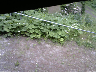 長野県菅平高原 ゆたか山荘 駐車場 2026/06/06 12:15