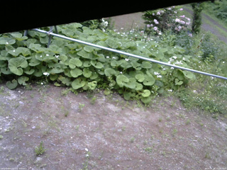 長野県菅平高原 ゆたか山荘 駐車場 2026/06/06 13:00