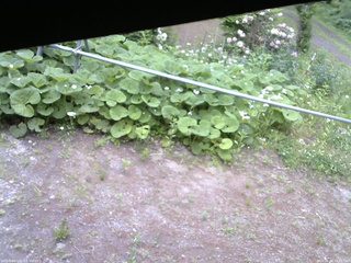 長野県菅平高原 ゆたか山荘 駐車場 2026/06/06 15:45