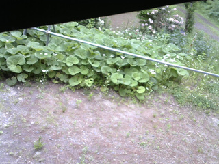 長野県菅平高原 ゆたか山荘 駐車場 2026/06/06 16:15