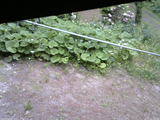 長野県菅平高原 ゆたか山荘 駐車場 2026/06/06 17:15