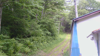 長野県菅平高原 ゆたか山荘 ゆたか山荘 2026/06/06 09:15