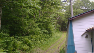 長野県菅平高原 ゆたか山荘 ゆたか山荘 2026/06/06 11:15