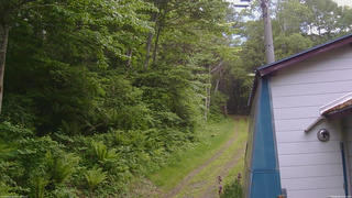 長野県菅平高原 ゆたか山荘 ゆたか山荘 2026/06/06 13:45