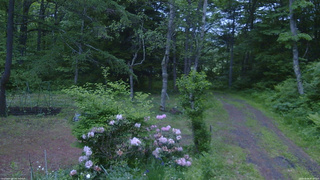 長野県菅平高原 ゆたか山荘 坂上 2026/06/06 05:00