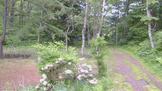 長野県菅平高原 ゆたか山荘 坂上 2026/06/06 05:30