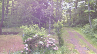 長野県菅平高原 ゆたか山荘 坂上 2026/06/06 07:00