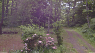 長野県菅平高原 ゆたか山荘 坂上 2026/06/06 07:15