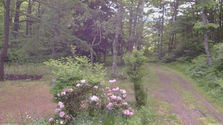 長野県菅平高原 ゆたか山荘 坂上 2026/06/06 07:30