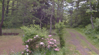 長野県菅平高原 ゆたか山荘 坂上 2026/06/06 07:45