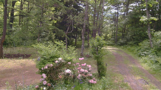 長野県菅平高原 ゆたか山荘 坂上 2026/06/06 08:30