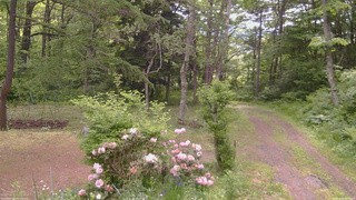 長野県菅平高原 ゆたか山荘 坂上 2026/06/06 08:45