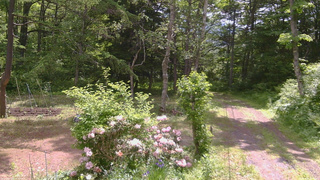 長野県菅平高原 ゆたか山荘 坂上 2026/06/06 09:45