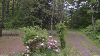 長野県菅平高原 ゆたか山荘 坂上 2026/06/06 10:00