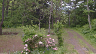 長野県菅平高原 ゆたか山荘 坂上 2026/06/06 10:15