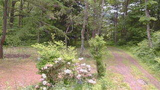 長野県菅平高原 ゆたか山荘 坂上 2026/06/06 10:45