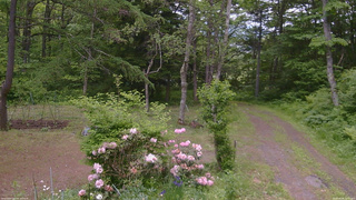 長野県菅平高原 ゆたか山荘 坂上 2026/06/06 11:15