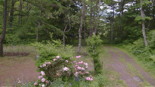 長野県菅平高原 ゆたか山荘 坂上 2026/06/06 11:30